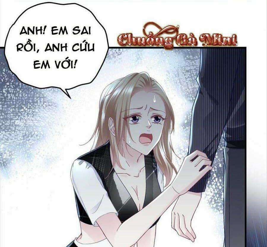 Bảo Bối Của Lão Đại Đã Xuyên Không Trở Về! Chapter 91 trang 4