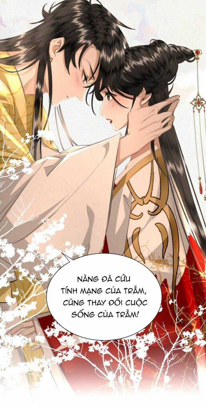 Báo Cáo Bạo Quân , Phi Tần Là Tổ Tông Của Người Chapter 19 trang 30