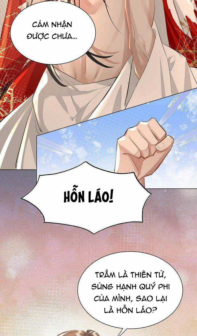 Báo Cáo Bạo Quân , Phi Tần Là Tổ Tông Của Người Chapter 20 trang 27