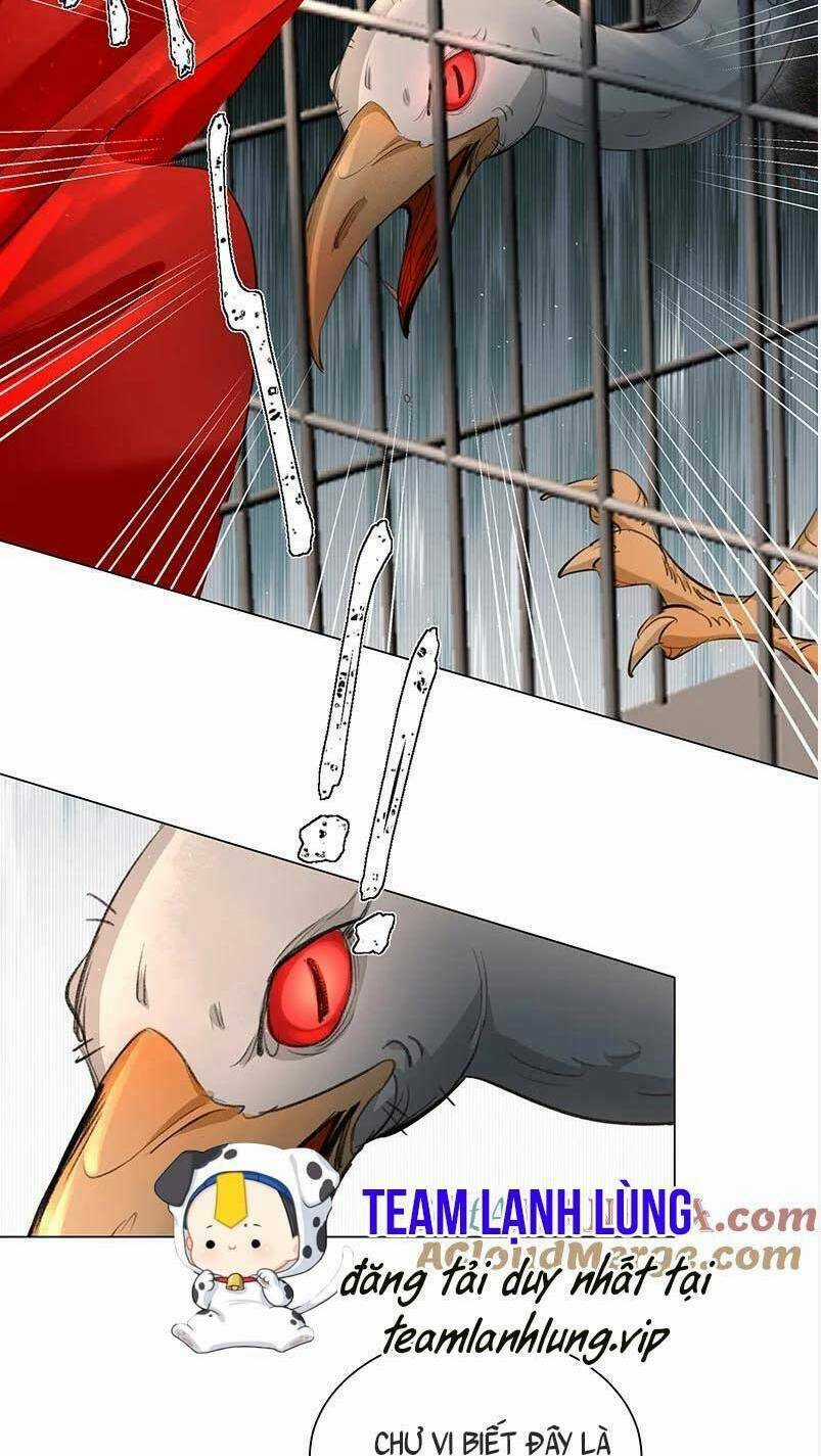 Báo Cáo Bạo Quân , Phi Tần Là Tổ Tông Của Người Chapter 24 trang 13