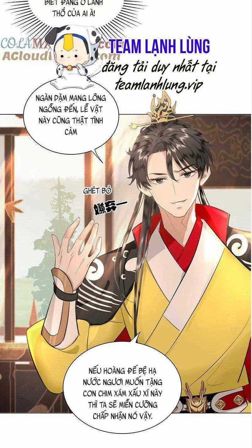 Báo Cáo Bạo Quân , Phi Tần Là Tổ Tông Của Người Chapter 24 trang 15