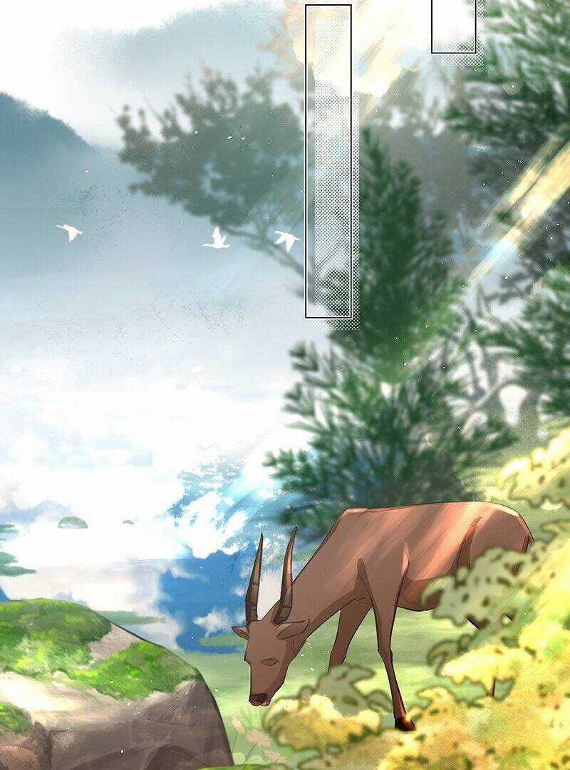 Báo Cáo Bạo Quân , Phi Tần Là Tổ Tông Của Người Chapter 26 trang 9