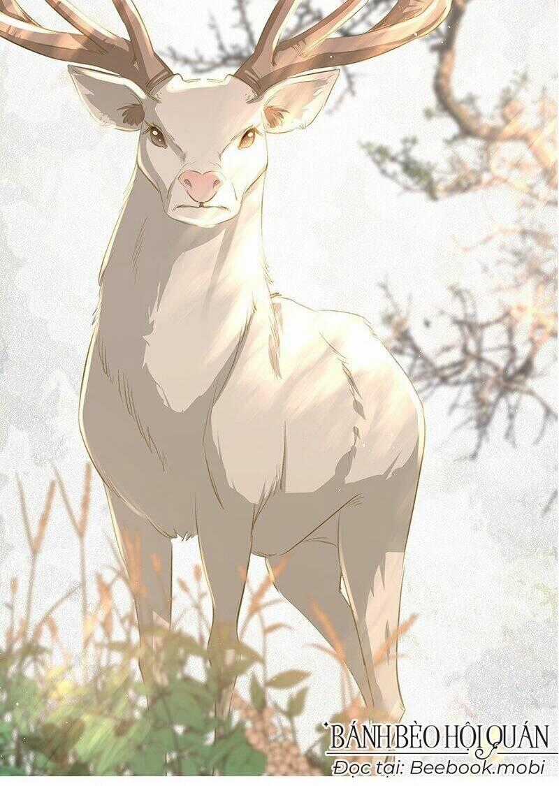 Báo Cáo Bạo Quân , Phi Tần Là Tổ Tông Của Người Chapter 29 trang 40