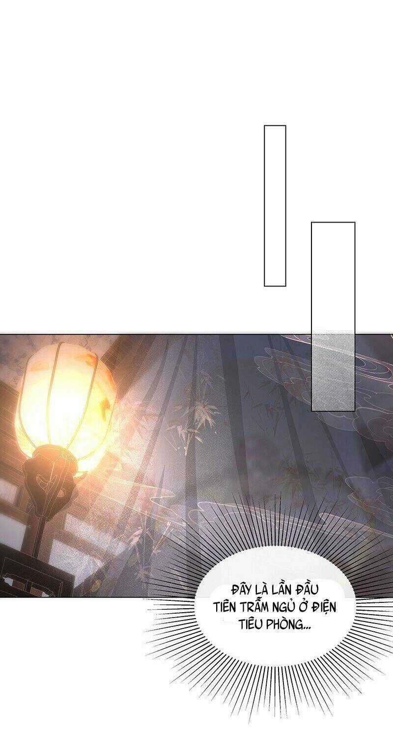 Báo Cáo Bạo Quân , Phi Tần Là Tổ Tông Của Người Chapter 8 trang 6