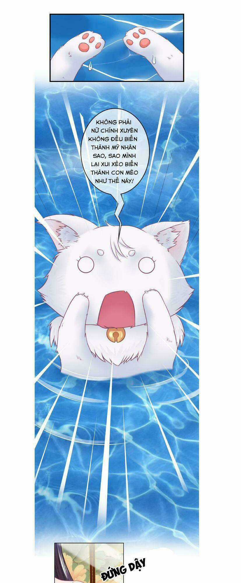 Báo Cáo Vương Gia, Vương Phi Là Một Con Mèo Chapter 1 trang 13