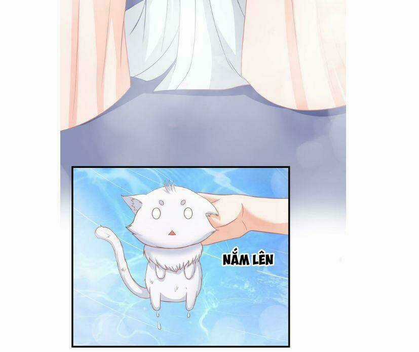 Báo Cáo Vương Gia, Vương Phi Là Một Con Mèo Chapter 1 trang 15