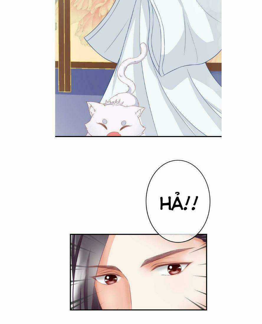 Báo Cáo Vương Gia, Vương Phi Là Một Con Mèo Chapter 1 trang 17