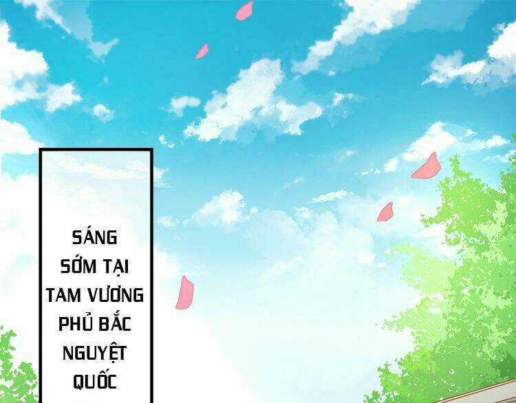 Báo Cáo Vương Gia, Vương Phi Là Một Con Mèo Chapter 2 trang 2