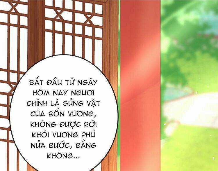 Báo Cáo Vương Gia, Vương Phi Là Một Con Mèo Chapter 2 trang 62