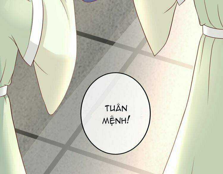 Báo Cáo Vương Gia, Vương Phi Là Một Con Mèo Chapter 2 trang 80