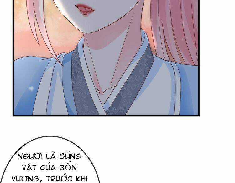 Báo Cáo Vương Gia, Vương Phi Là Một Con Mèo Chapter 3 trang 11