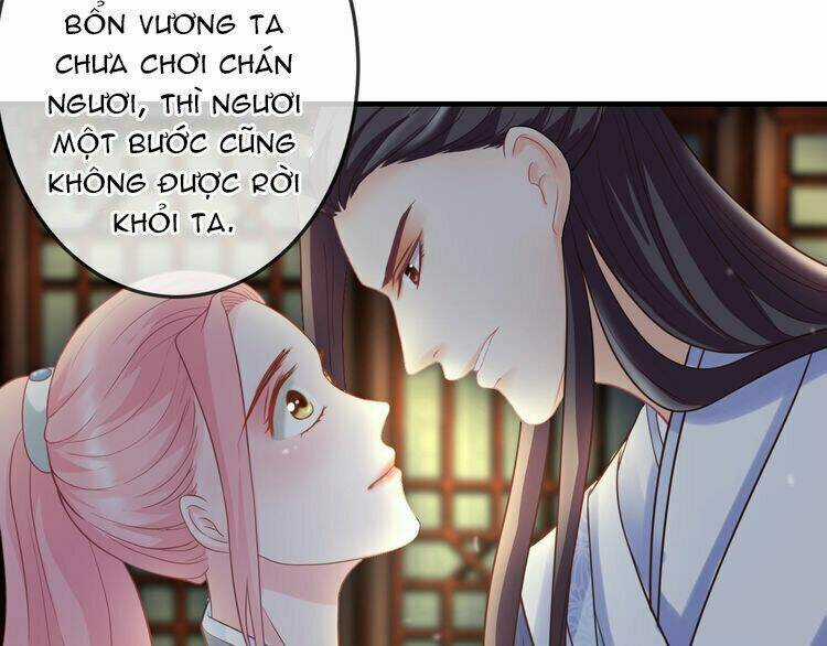 Báo Cáo Vương Gia, Vương Phi Là Một Con Mèo Chapter 3 trang 12