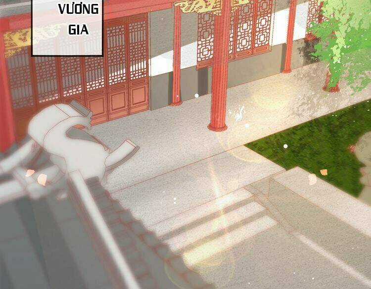 Báo Cáo Vương Gia, Vương Phi Là Một Con Mèo Chapter 3 trang 92