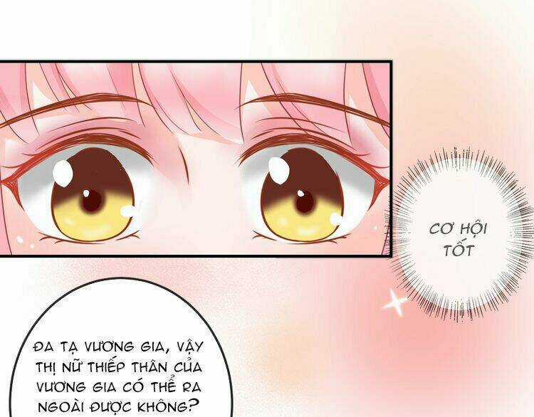 Báo Cáo Vương Gia, Vương Phi Là Một Con Mèo Chapter 4 trang 76