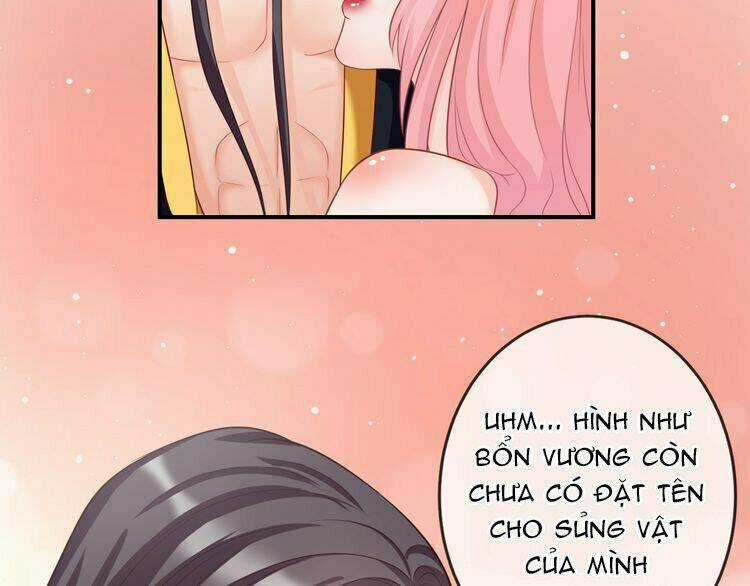 Báo Cáo Vương Gia, Vương Phi Là Một Con Mèo Chapter 4 trang 9