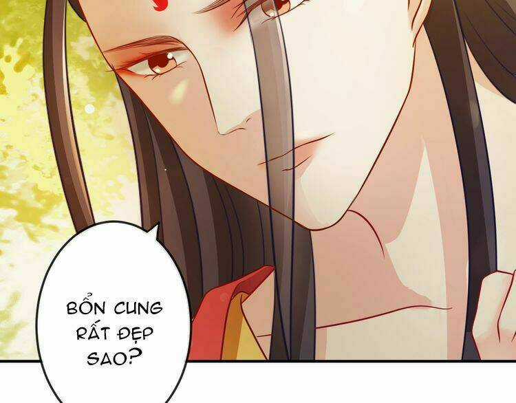 Báo Cáo Vương Gia, Vương Phi Là Một Con Mèo Chapter 5 trang 66