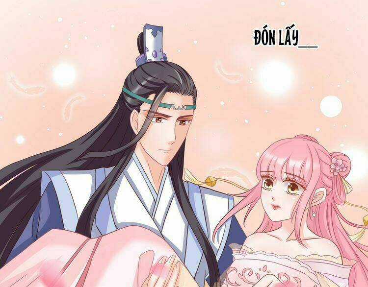 Báo Cáo Vương Gia, Vương Phi Là Một Con Mèo Chapter 6 trang 42