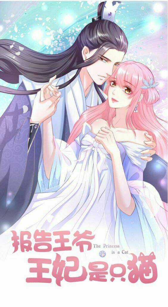 Báo Cáo Vương Gia, Vương Phi Là Một Con Mèo Chapter 8 trang 2