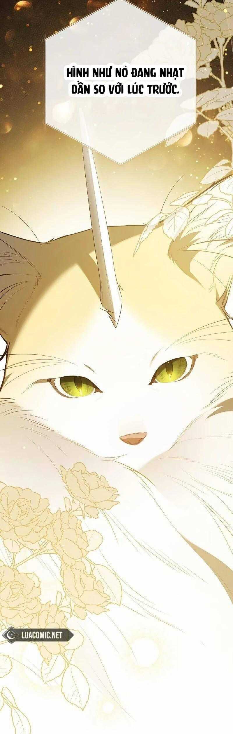 Bạo Chúa Bé Con Chapter 85 trang 62