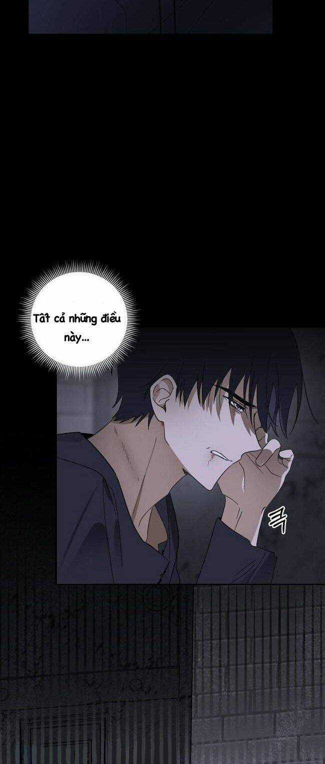 Bạo Chúa Thân Mến Chapter 5 trang 42