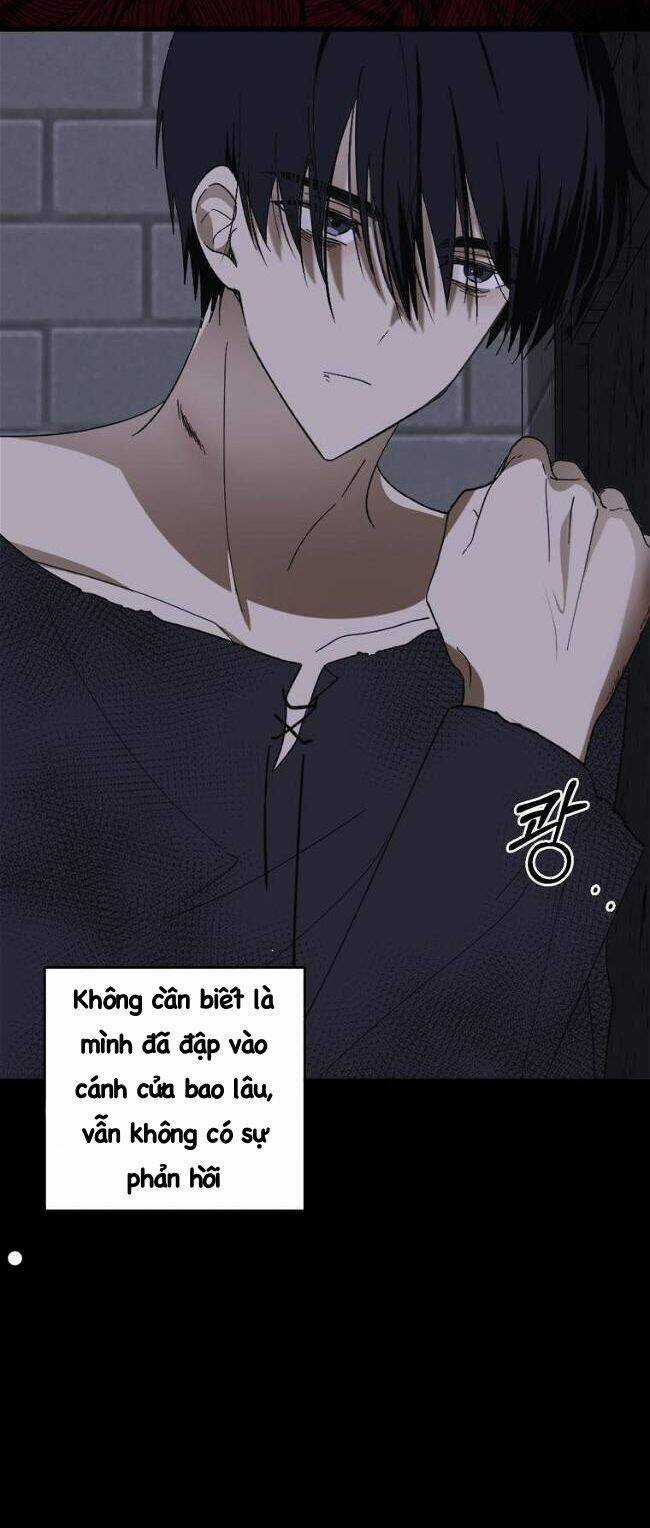 Bạo Chúa Thân Mến Chapter 5 trang 46