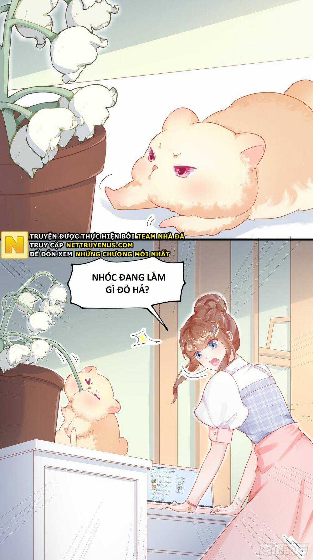 Bảo Điển Tình Yêu Của Hamster Chapter 1 trang 18