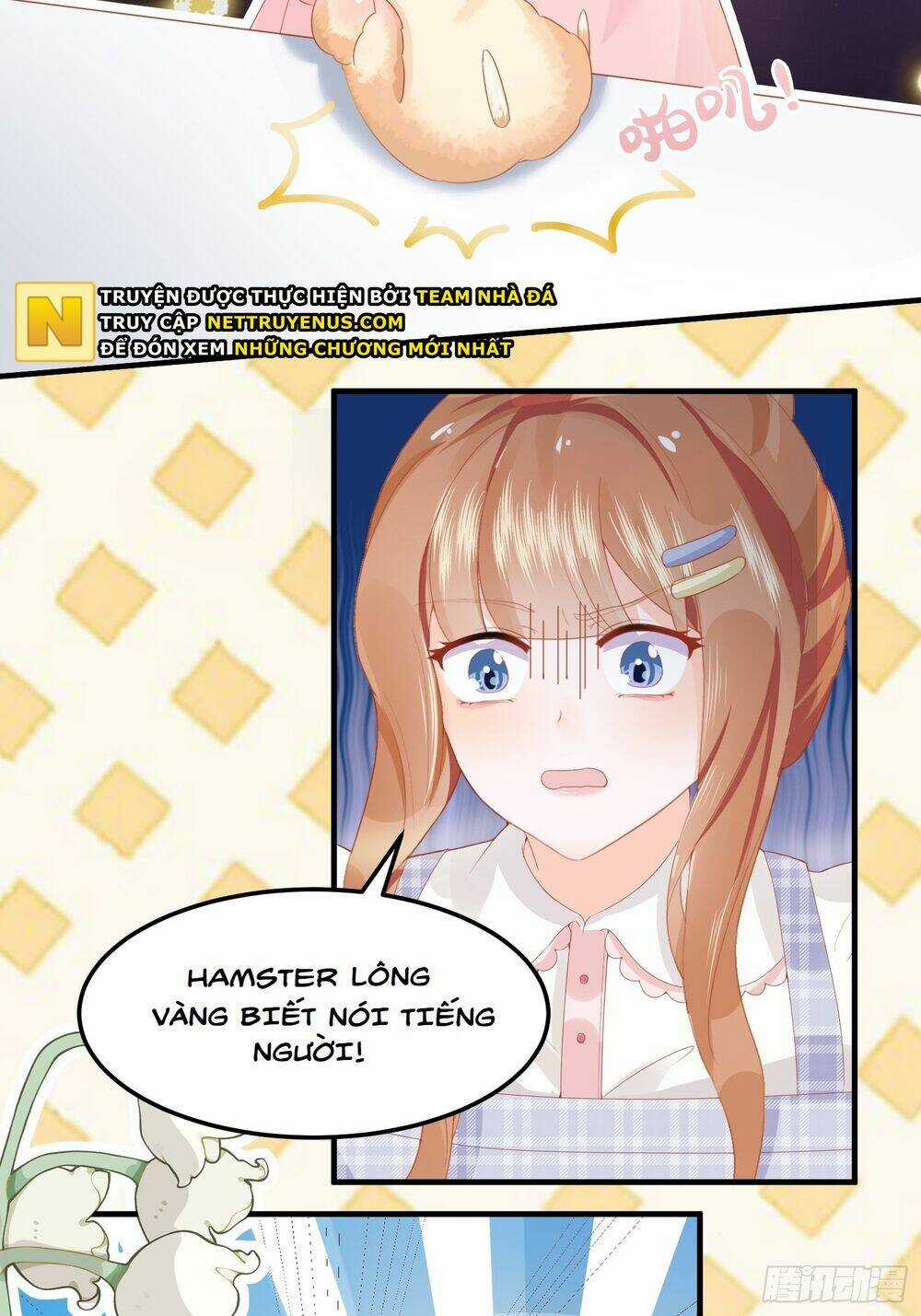 Bảo Điển Tình Yêu Của Hamster Chapter 1 trang 24