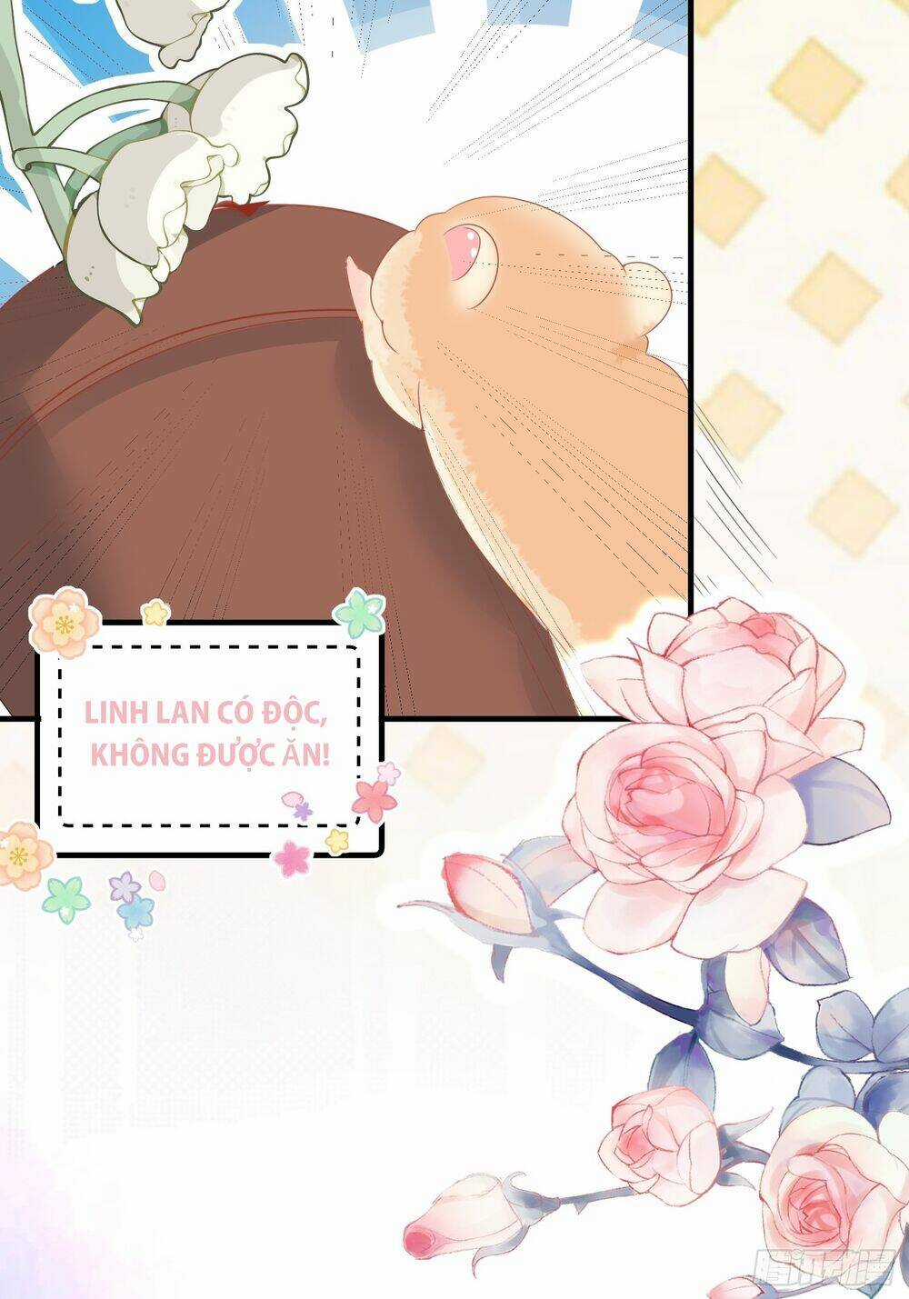 Bảo Điển Tình Yêu Của Hamster Chapter 1 trang 25