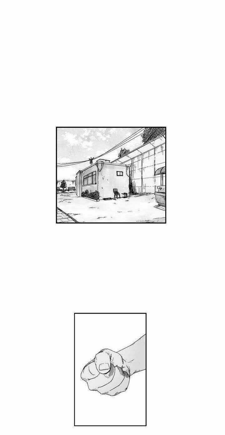 Bạo Lực Học Đường Chapter 50 trang 12