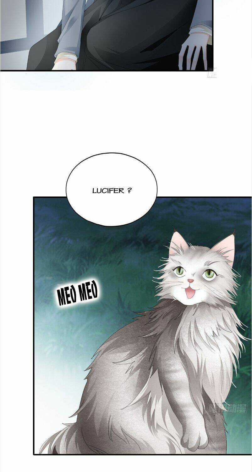 Bạo Quân Ái Nhân Chapter 65 trang 3