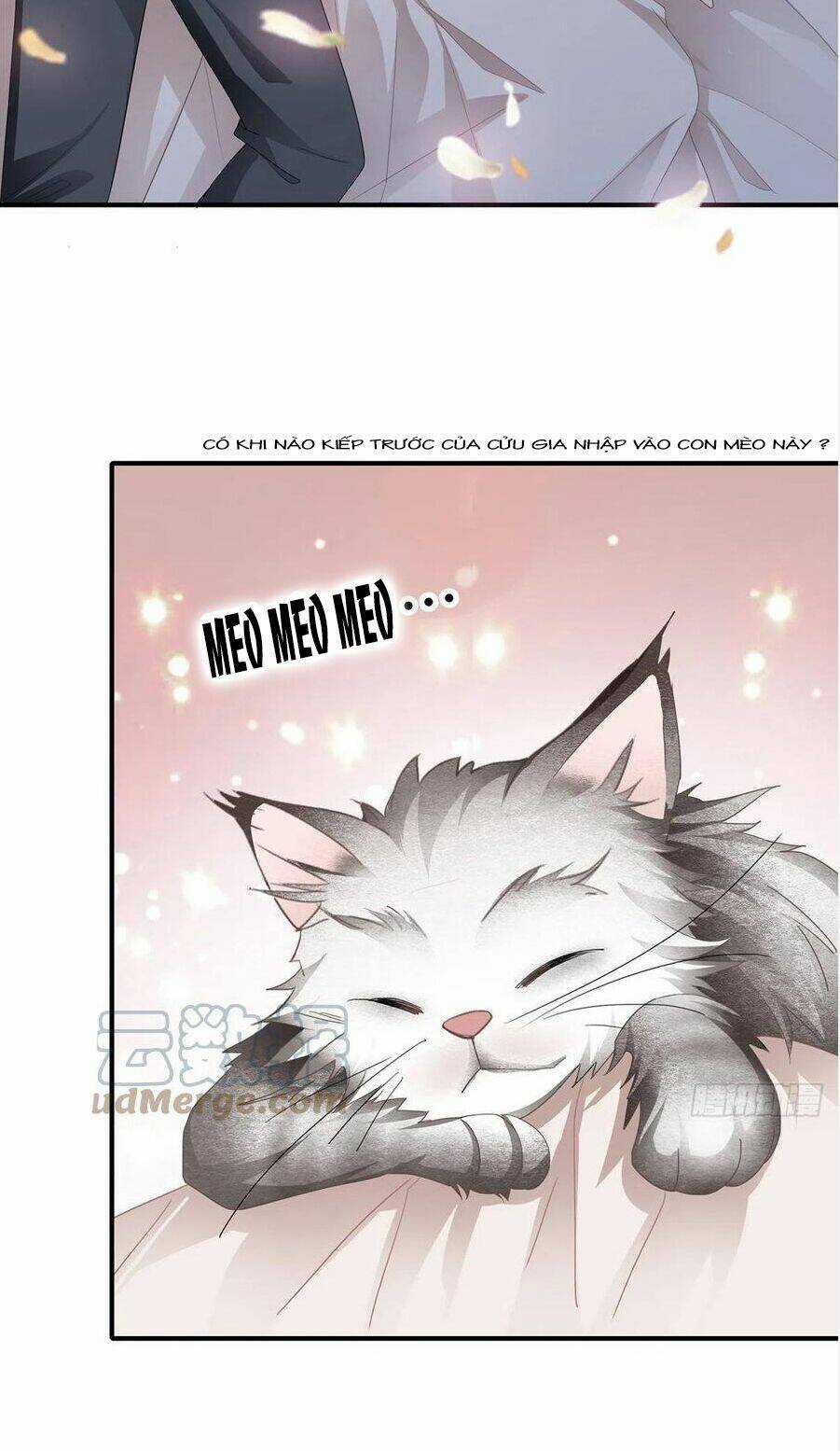 Bạo Quân Ái Nhân Chapter 68 trang 2