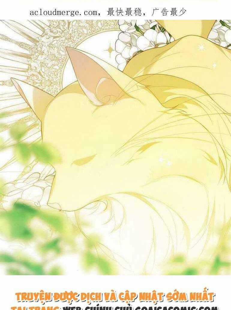 Bạo Quân Baby Chapter 4.2 trang 37