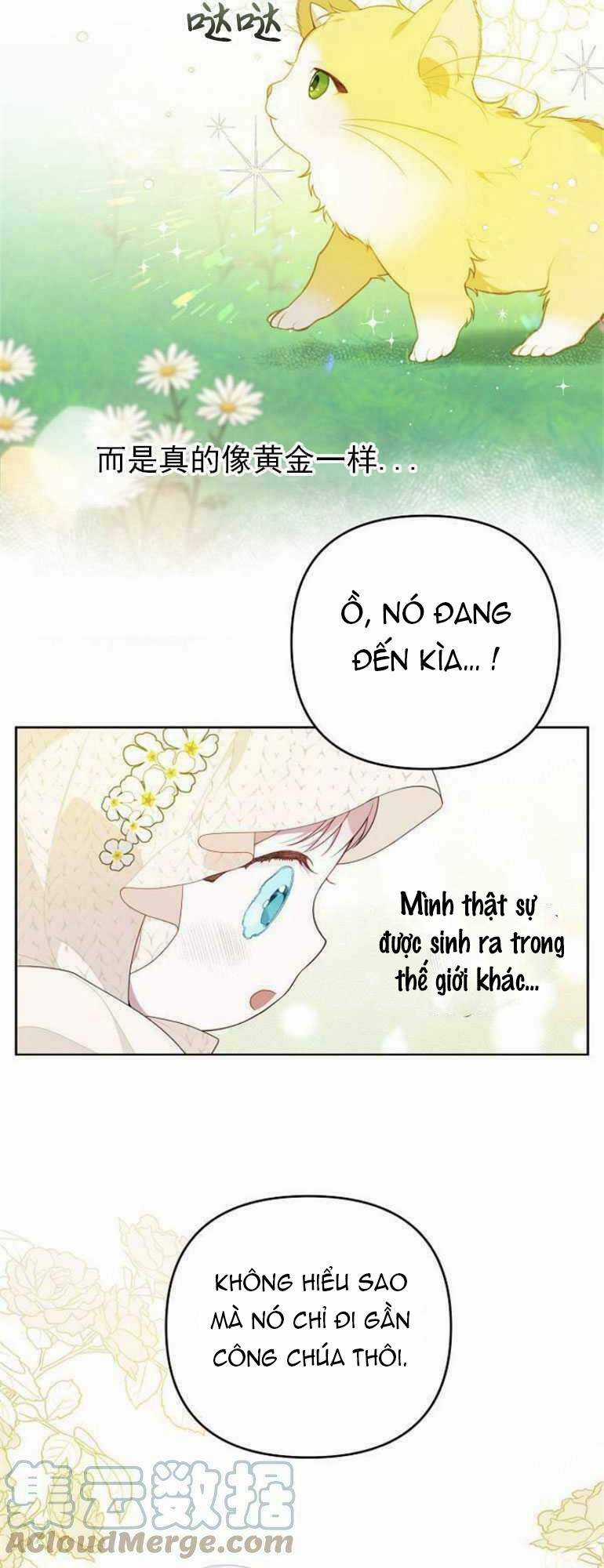 Bạo Quân Baby Chapter 5.2 trang 8