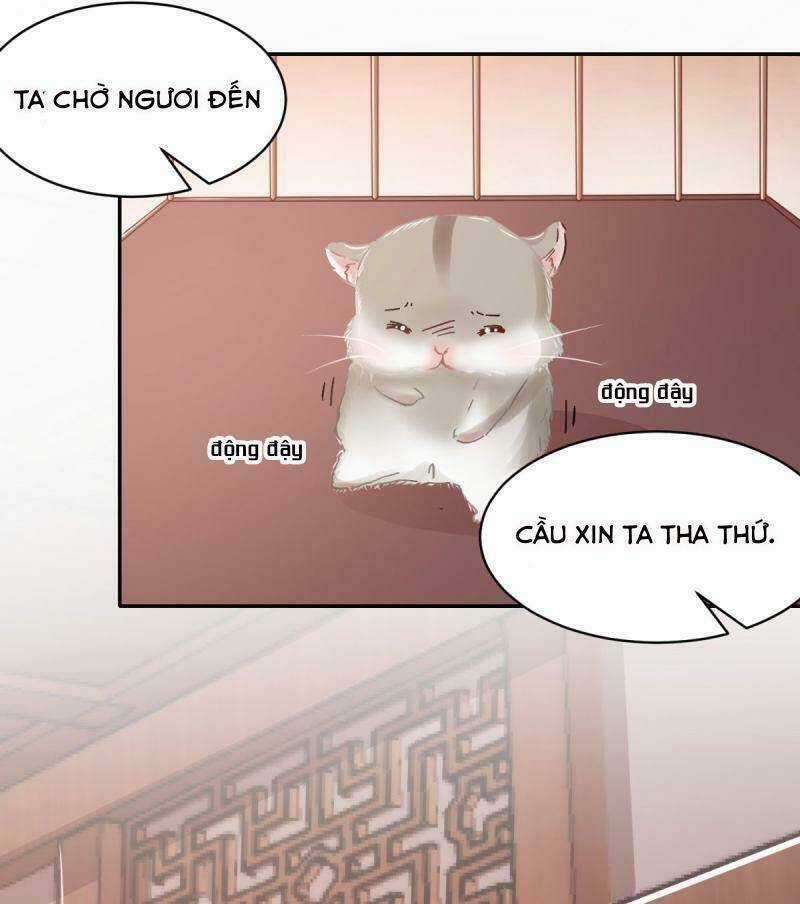 Bạo Quân Đừng Chạy, Công Chúa Muốn Vong Quốc Chapter 13 trang 2