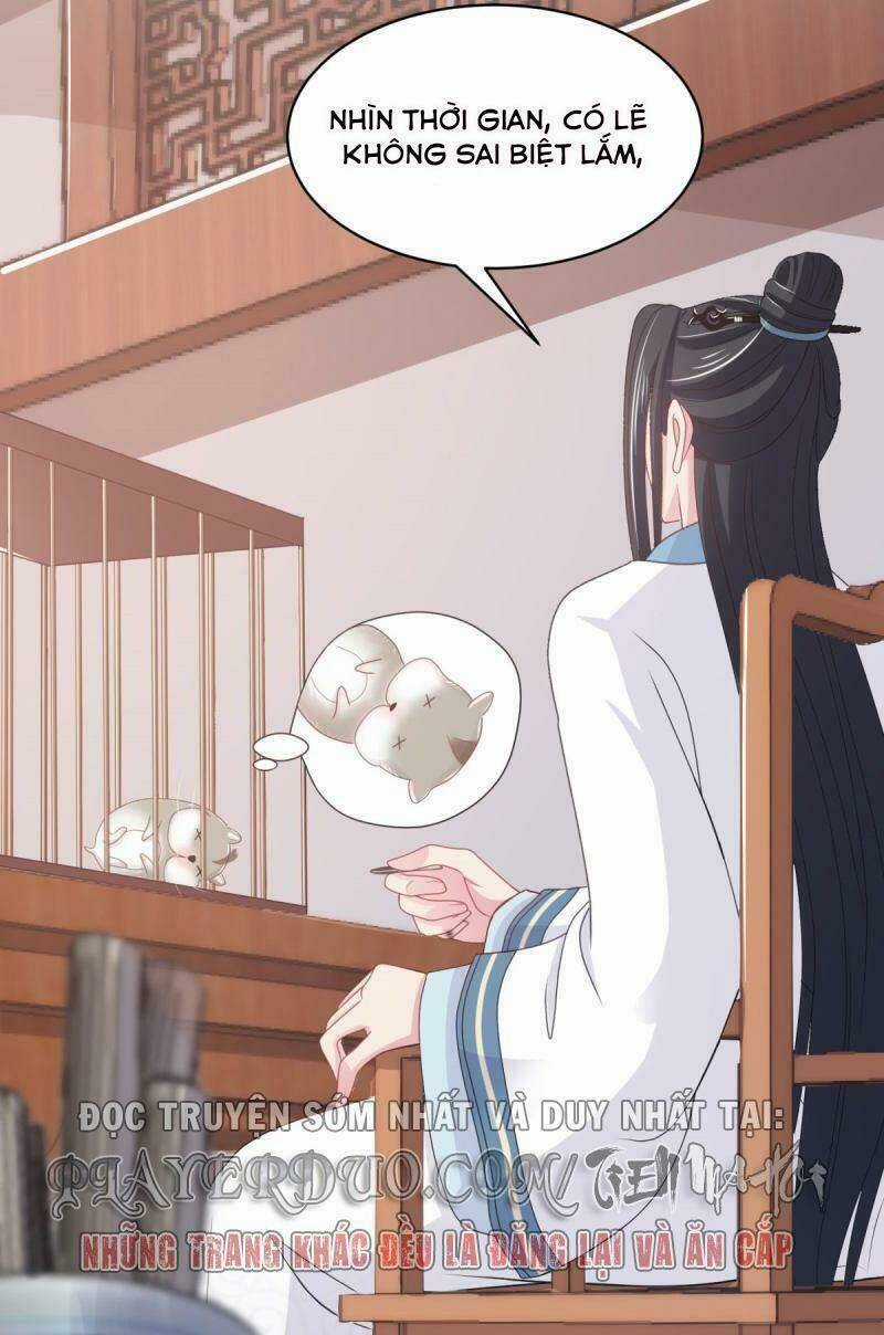 Bạo Quân Đừng Chạy, Công Chúa Muốn Vong Quốc Chapter 13 trang 3