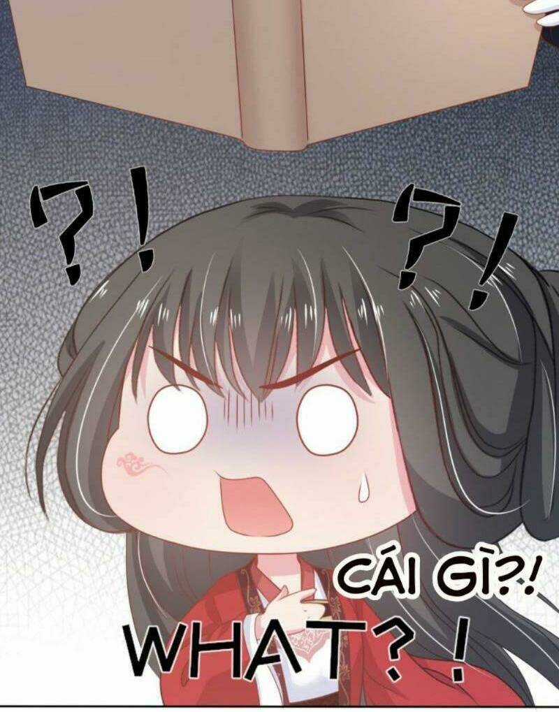 Bạo Quân Đừng Chạy, Công Chúa Muốn Vong Quốc Chapter 3 trang 19