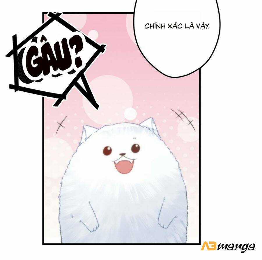 Bạo Sủng Tiểu Manh Phi Chapter 10 trang 8