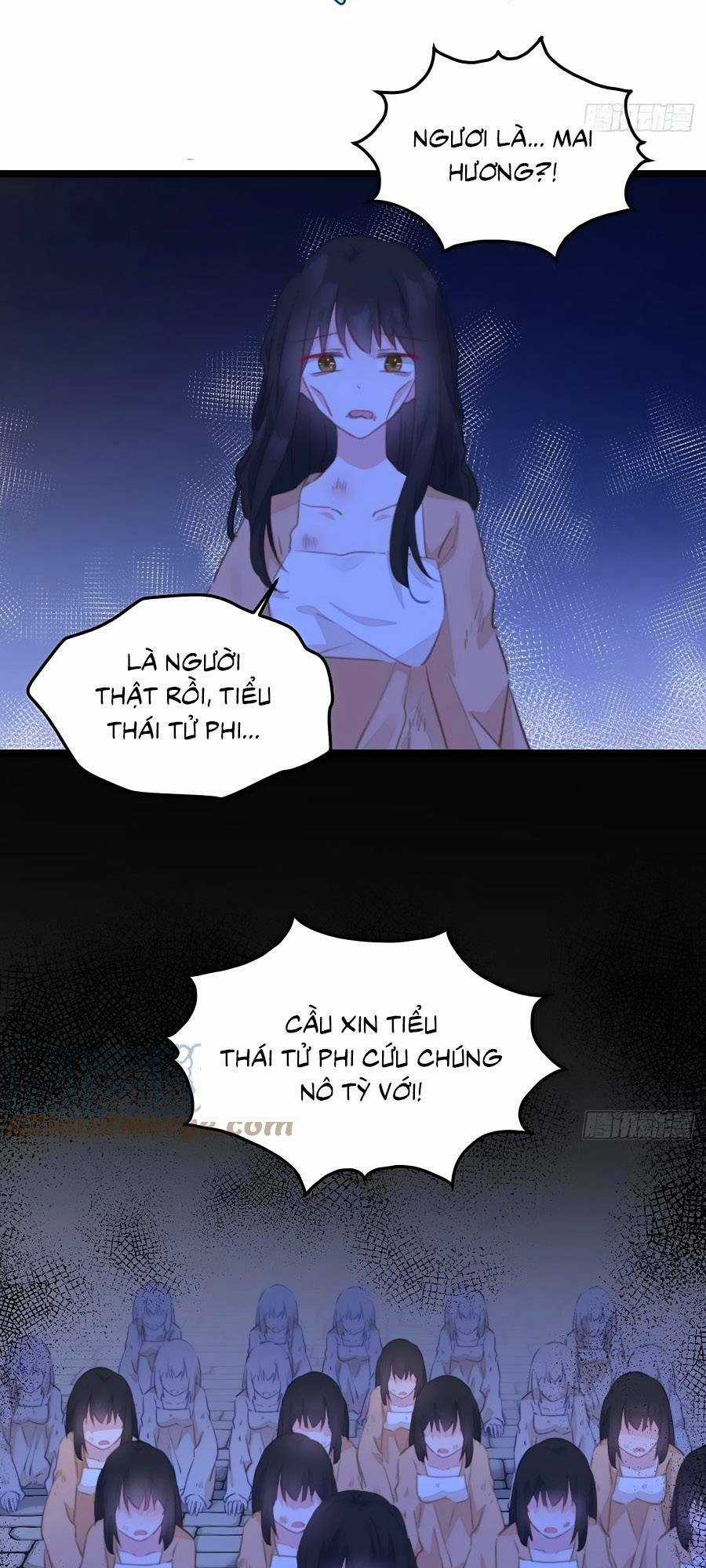 Bạo Sủng Tiểu Manh Phi Chapter 101 trang 19