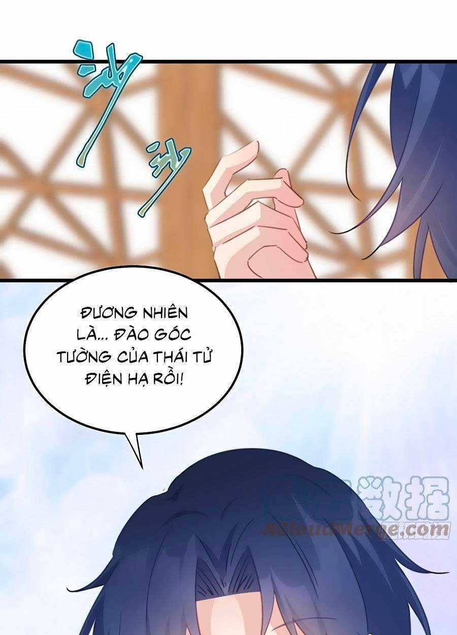 Bạo Sủng Tiểu Manh Phi Chapter 111 trang 13