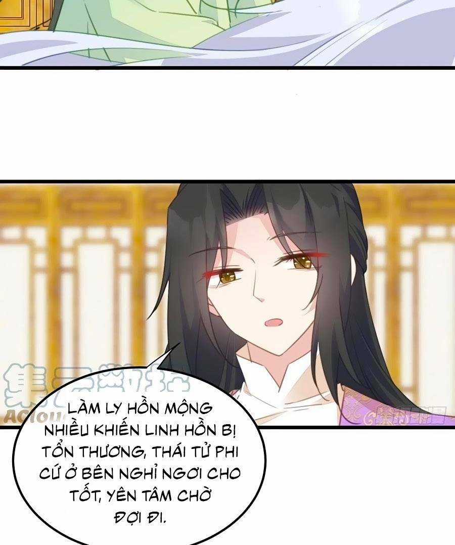 Bạo Sủng Tiểu Manh Phi Chapter 113 trang 8