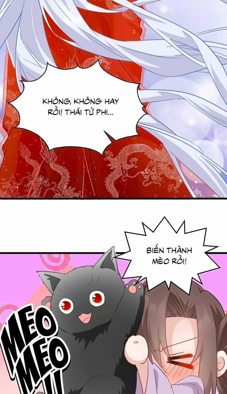 Bạo Sủng Tiểu Manh Phi Chapter 119 trang 20