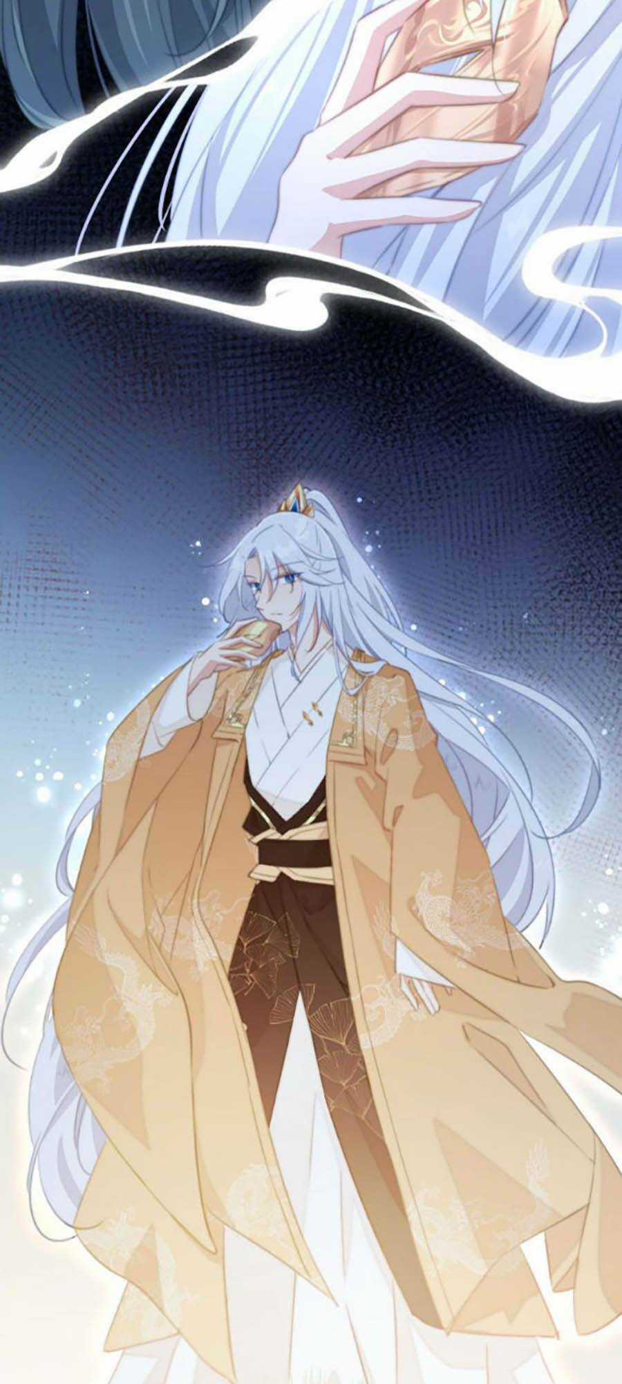 Bạo Sủng Tiểu Manh Phi Chapter 13 trang 6