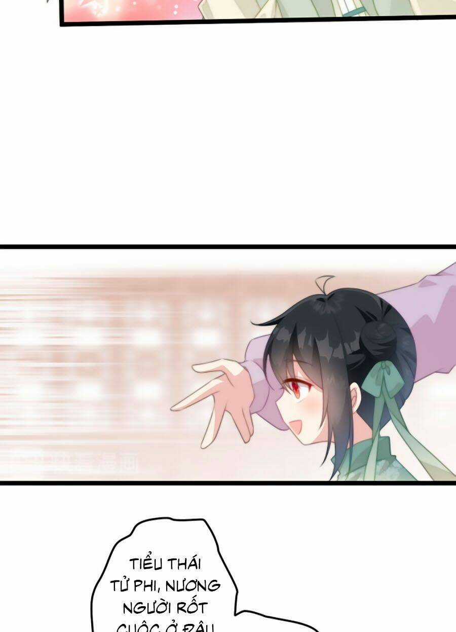 Bạo Sủng Tiểu Manh Phi Chapter 21 trang 15