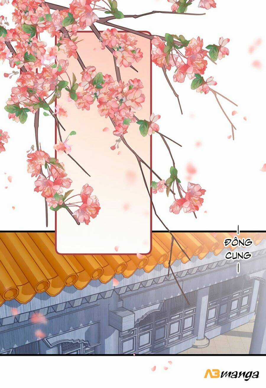 Bạo Sủng Tiểu Manh Phi Chapter 24 trang 15