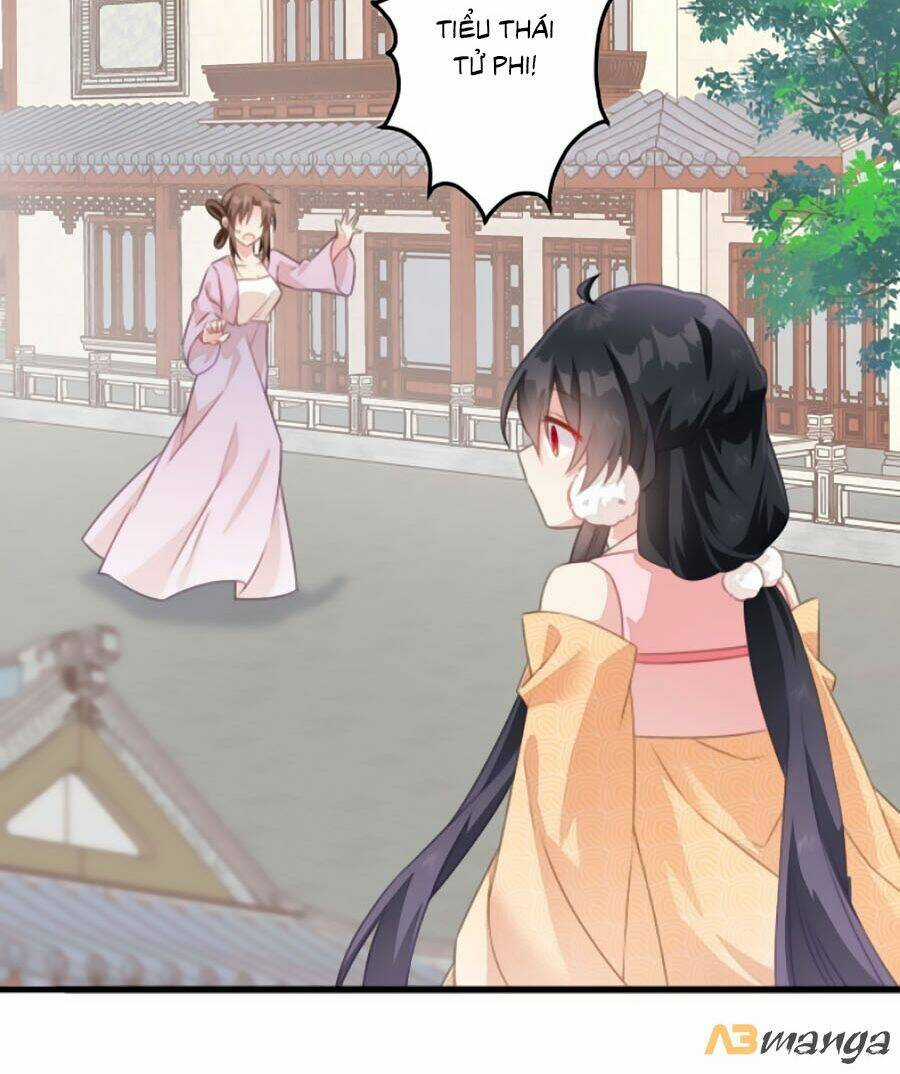 Bạo Sủng Tiểu Manh Phi Chapter 27 trang 21