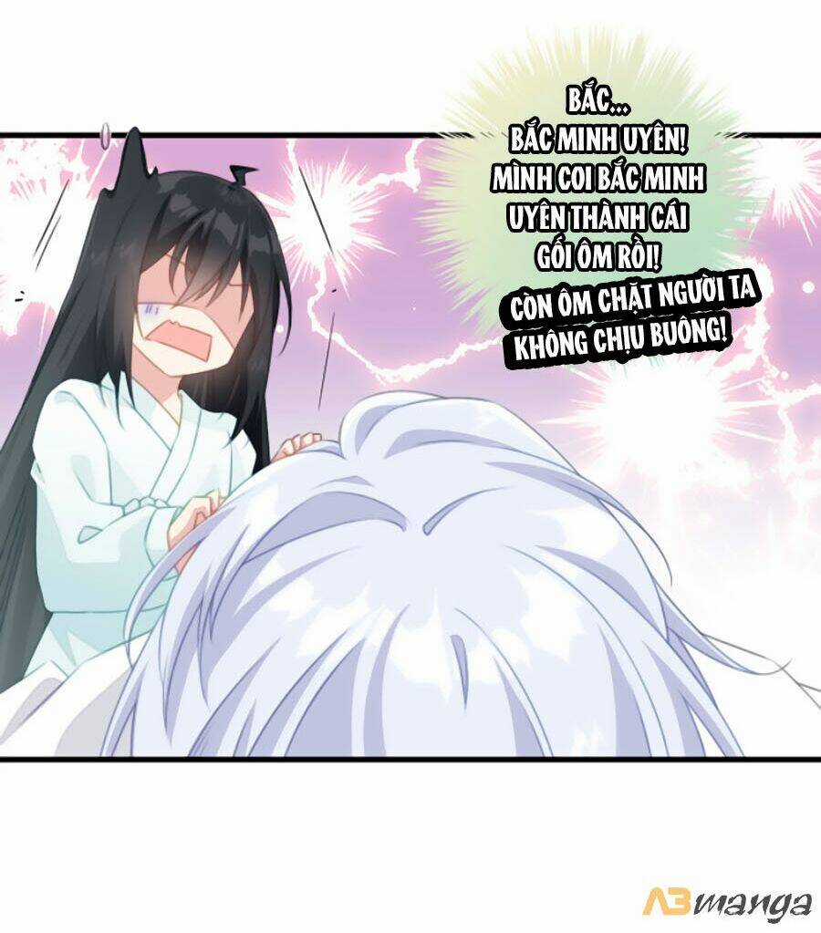 Bạo Sủng Tiểu Manh Phi Chapter 29 trang 24