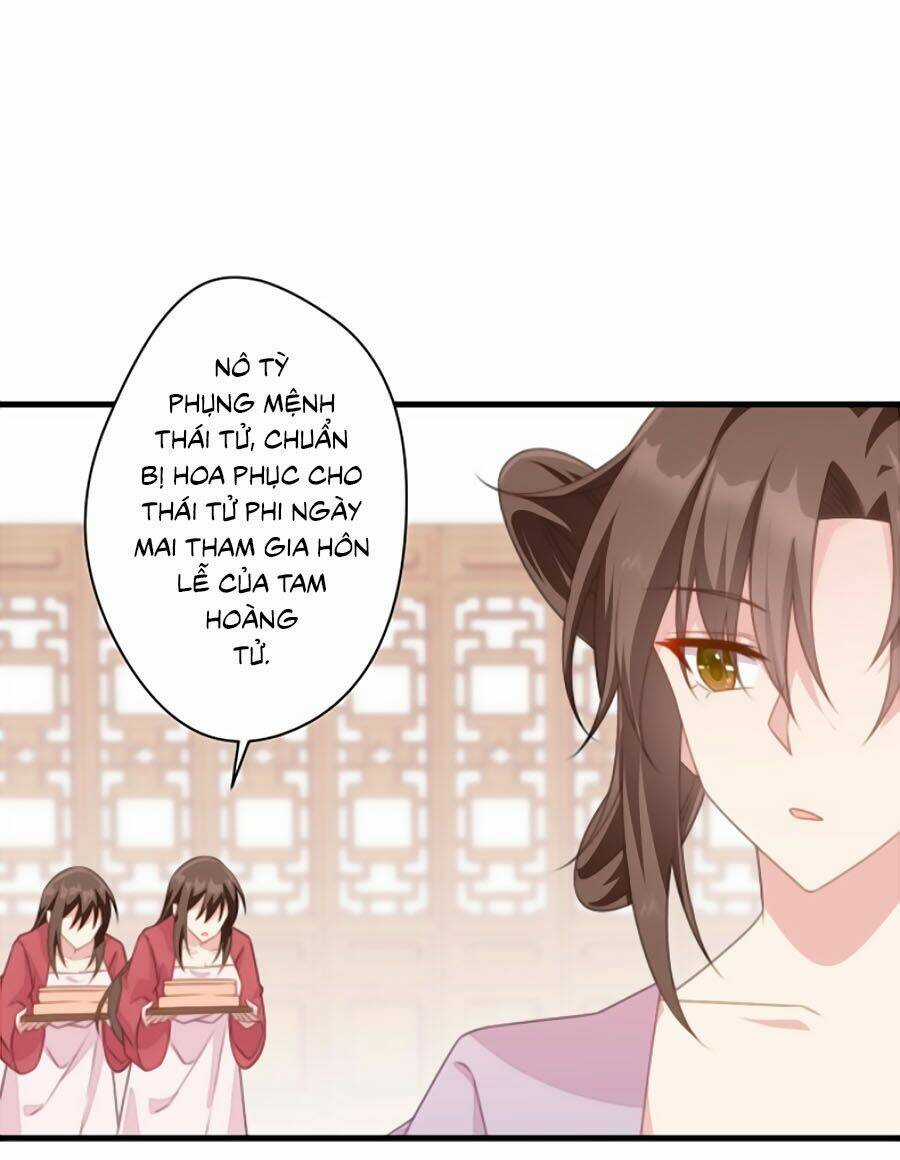 Bạo Sủng Tiểu Manh Phi Chapter 30 trang 3