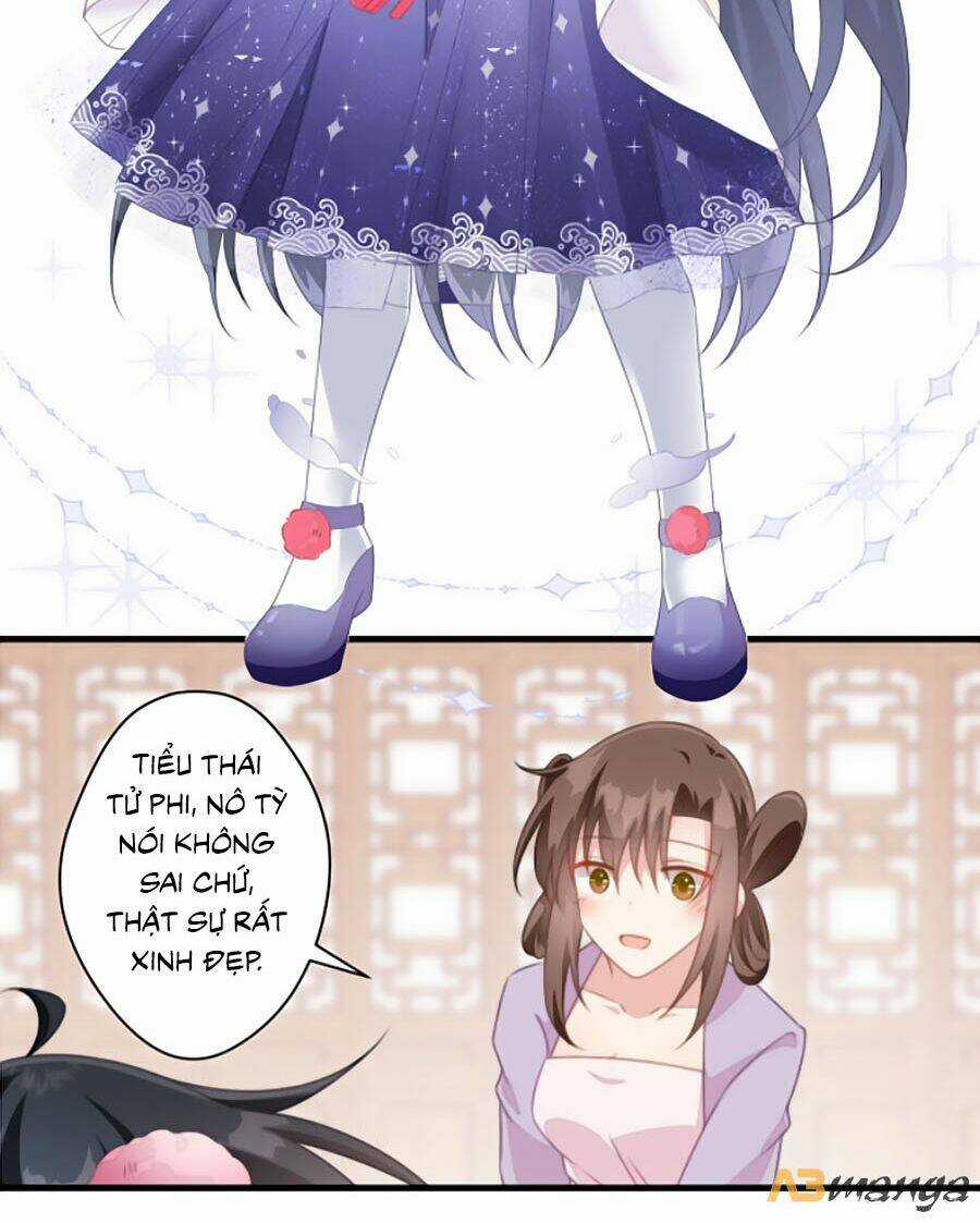 Bạo Sủng Tiểu Manh Phi Chapter 30 trang 9