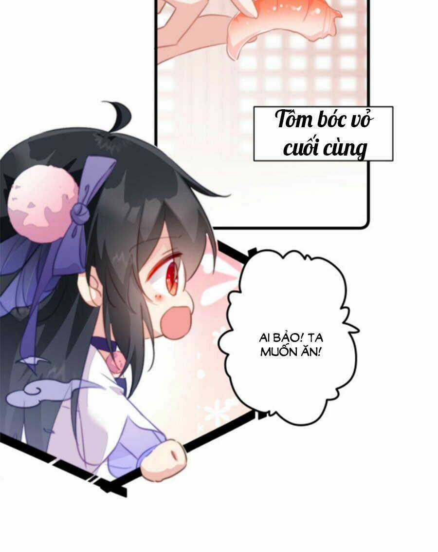 Bạo Sủng Tiểu Manh Phi Chapter 34 trang 15