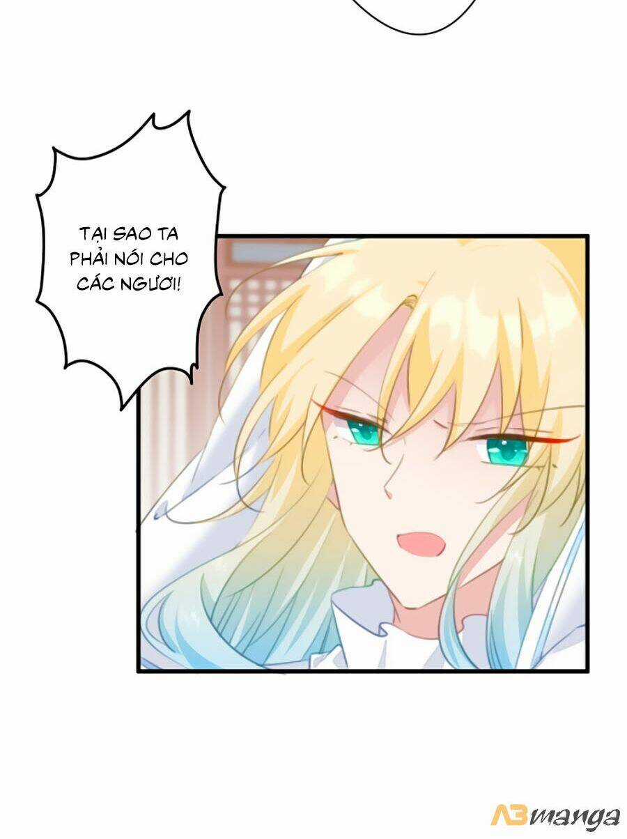 Bạo Sủng Tiểu Manh Phi Chapter 37 trang 11